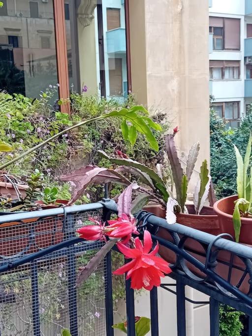 Casa e Putia Apartment - Appartamento con 2 Camere da Letto - 24