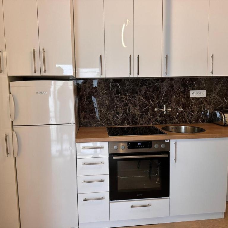 City Line Apartment Belgrade - Apartman sa 1 Spavaćom Sobom - 44