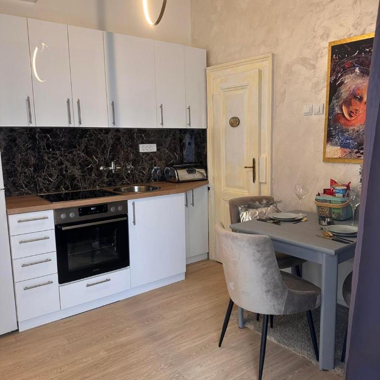 City Line Apartment Belgrade - Apartman sa 1 Spavaćom Sobom - 33