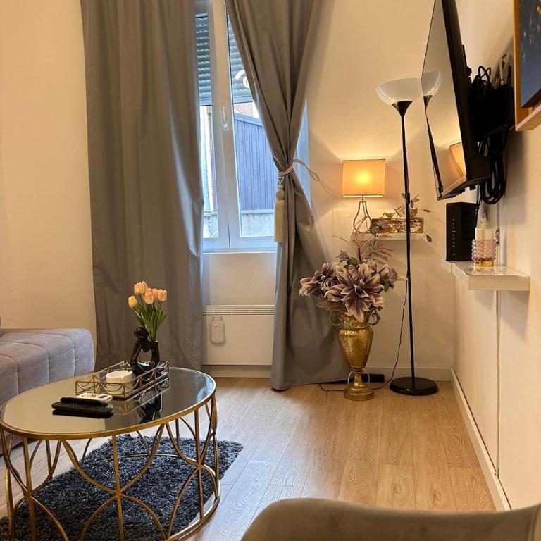 City Line Apartment Belgrade - Apartman sa 1 Spavaćom Sobom - 27