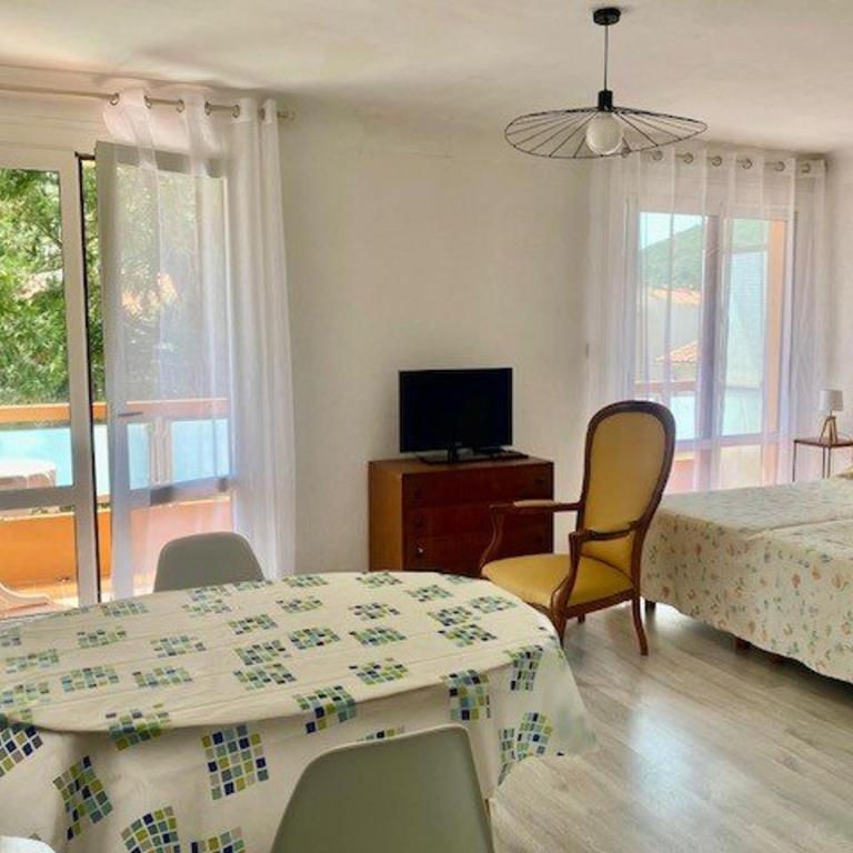 Studio lumineux avec balcon, Wi-Fi, proche des thermes d'Amélie-les-Bains - Studio - 10