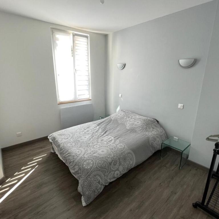 Le Dominicains appartement au calme aux portes de la Place Stanislas - Appartement 1 Chambre - 4