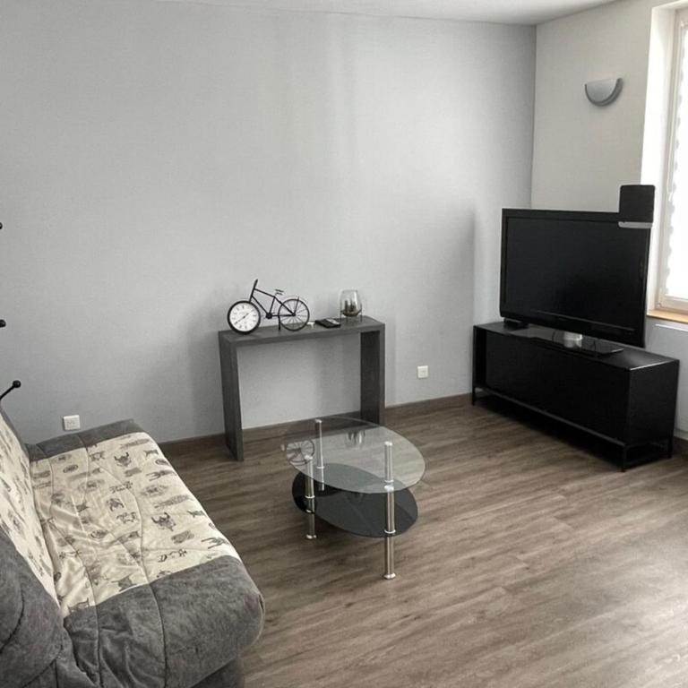 Le Dominicains appartement au calme aux portes de la Place Stanislas - Appartement 1 Chambre - 6