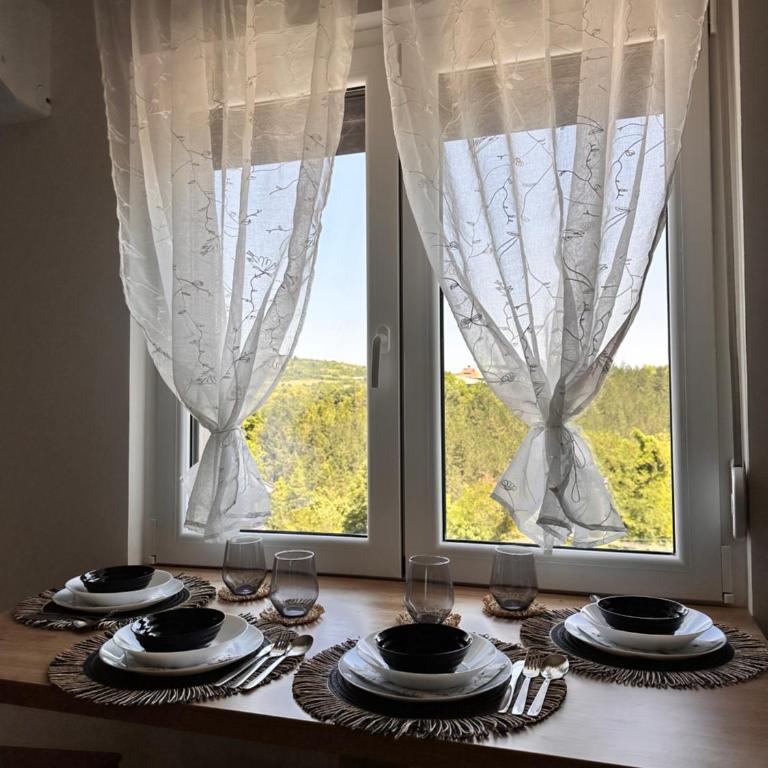 Aria Apartman Sokobanja - One-Bedroom Apartment - 13