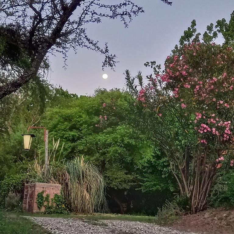 La Laguna - Cabañas de Troncos - Apartamento de 2 dormitorios - 28