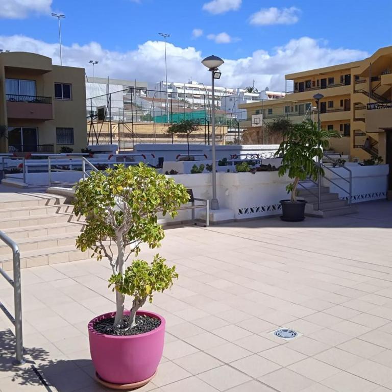 Estudio en Torres del Sol en lado del mar - Apartamento de 1 dormitorio - 38