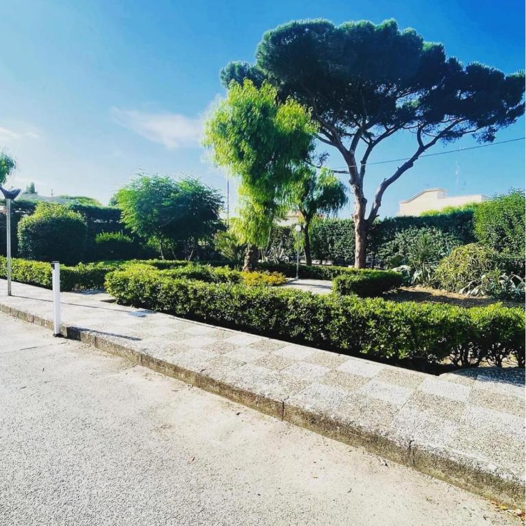 Raggi di Sole Apartment - Appartamento con 1 Camera da Letto - 3