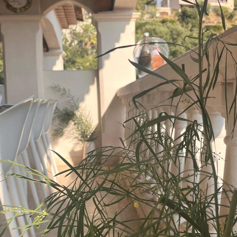 Villa provençale Magnifique vue Golfe de St Tropez - Villa - 56