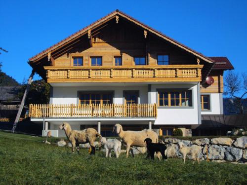 Alpenchalet Gosau - Superior Chalet - 16
