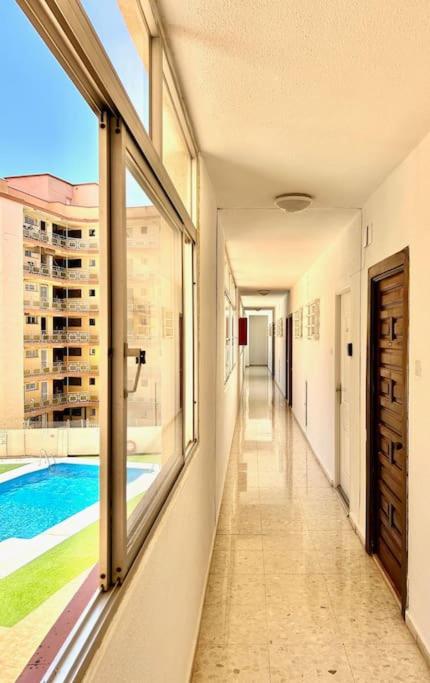 Palm Breeze Studio - Apartamento de 1 dormitorio - 20