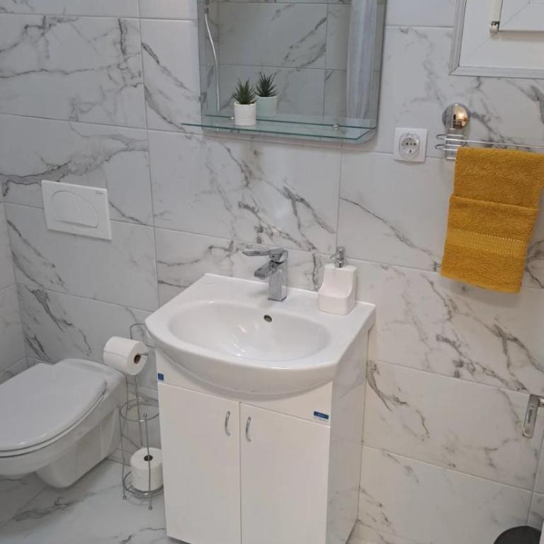 Vila Jevtić studio 3 - One-Bedroom Apartment - 7