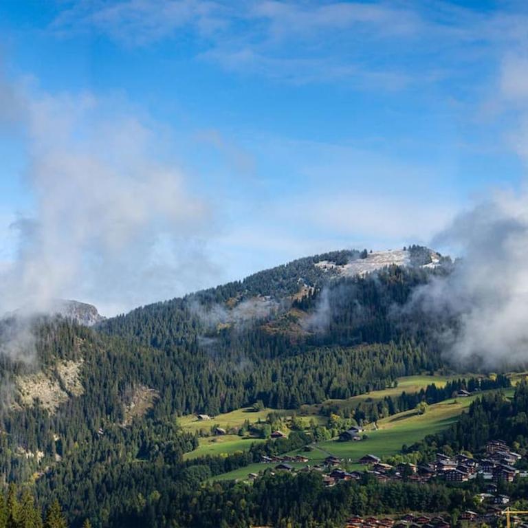Chalet 1100 - Bo Immobilier Chatel - à mi-chemin du centre et du Linga -Reduced prices on ski passes Châtel & Portes du Soleil - Chalet - 30