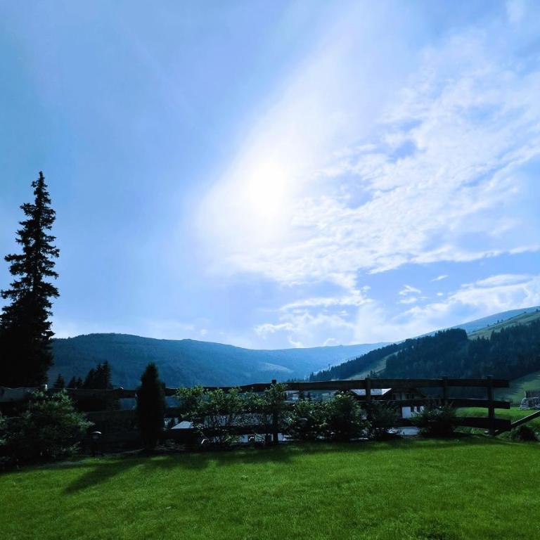 Sonnberg Chalet - Entspannung pur im Luxus Chalet mit Whirlpool-Sauna - Four-Bedroom House - 47