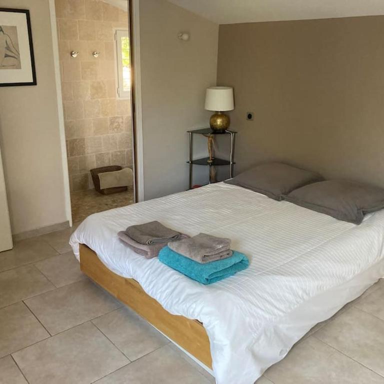 Beautiful AC house with swimming pool Aix center - Villa - 7