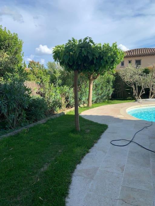 Beautiful AC house with swimming pool Aix center - Villa - 33