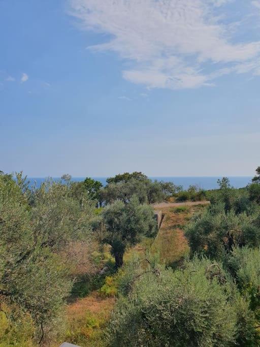 Zen Olive Retreat - Apartman sa 2 Spavaće Sobe - 17