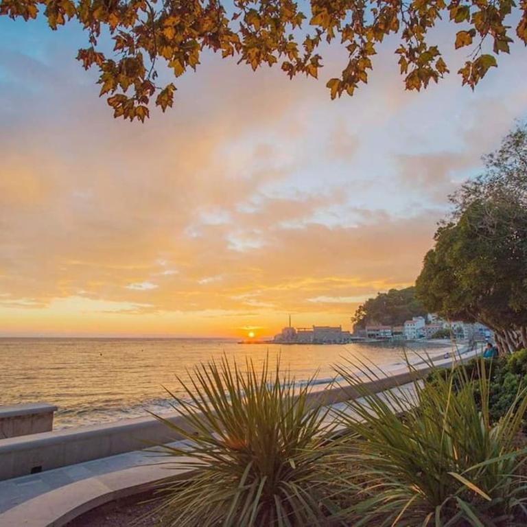 Zen Olive Retreat - Apartman sa 2 Spavaće Sobe - 57