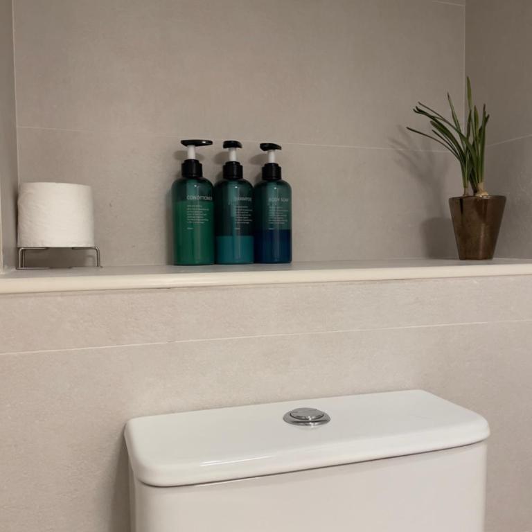 Premium Apartments Almeria Centro - Apartamento de 2 dormitorios con terraza - 19