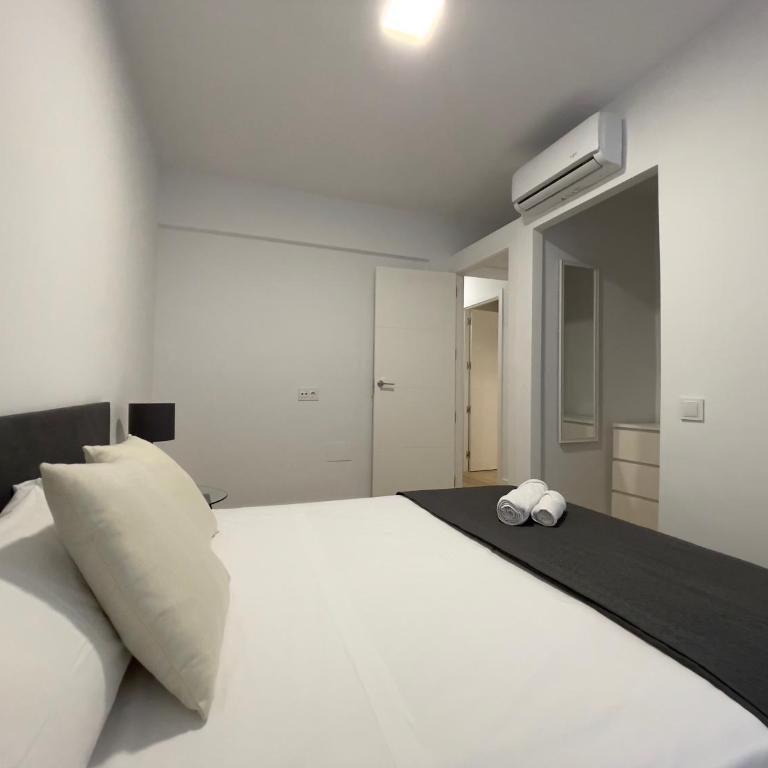 Premium Apartments Almeria Centro - Apartamento de 2 dormitorios con terraza - 8