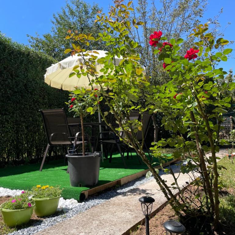 Cherry Garden Villa - Standardna Vila - 1