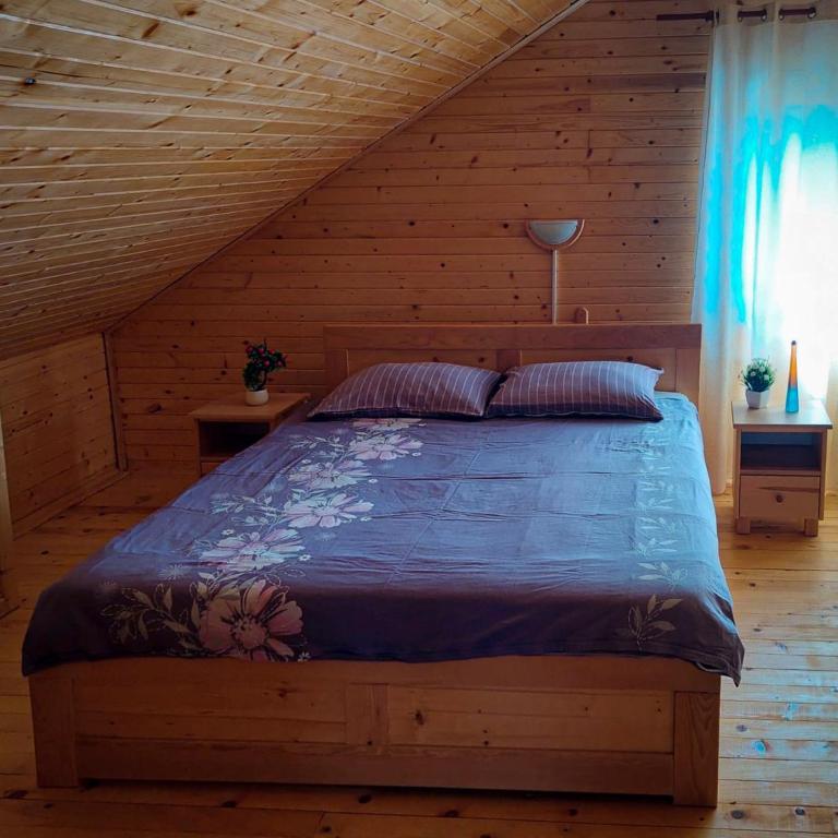 Kuca zdravlja Zabljak - Two-Bedroom House - 9