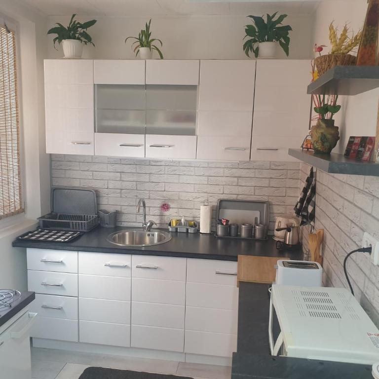 Despot Apartmani Niš - Apartman sa 2 Spavaće Sobe - 15