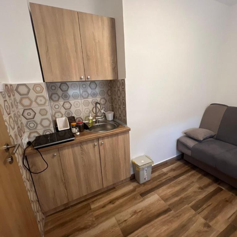 Vila RUŽA - House of Roses - One-Bedroom Apartment - 17