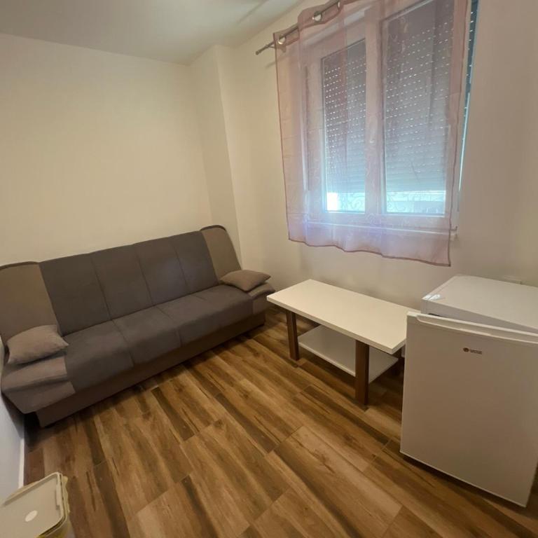 Vila RUŽA - House of Roses - One-Bedroom Apartment - 14