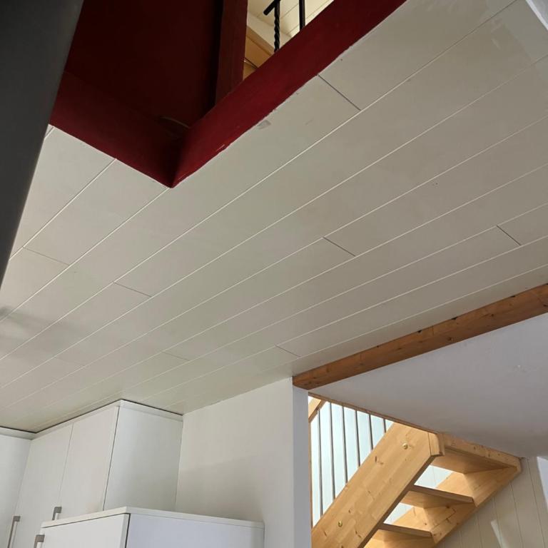 Historische Maisonettewohnung bis 10 Gäste, Magic Pass Belalp, Rosswald und mehr - Apartment - 76