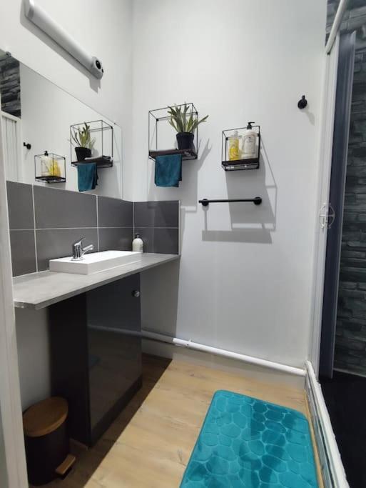 Appartement La Pause Bleue - Appartamento con 1 Camera da Letto - 15