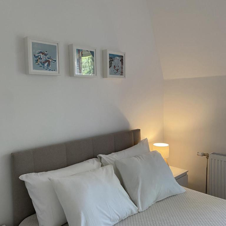 Apartman DivčiMonte - Apartman sa 1 Spavaćom Sobom - 10