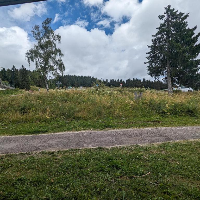 Pied de piste - Appartement 2 Chambres - 17