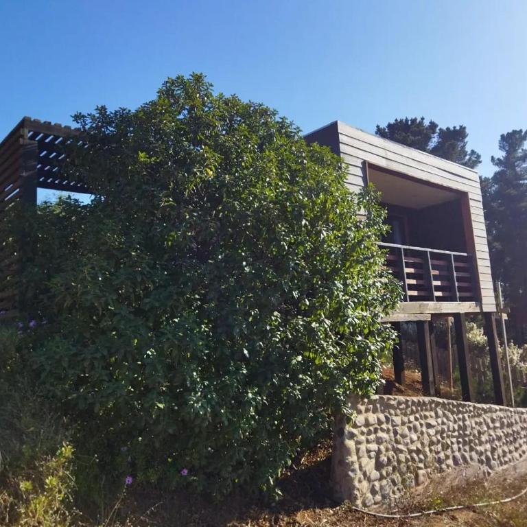 cabañas y tinaja winkul - Apartamento de 1 dormitorio - 4