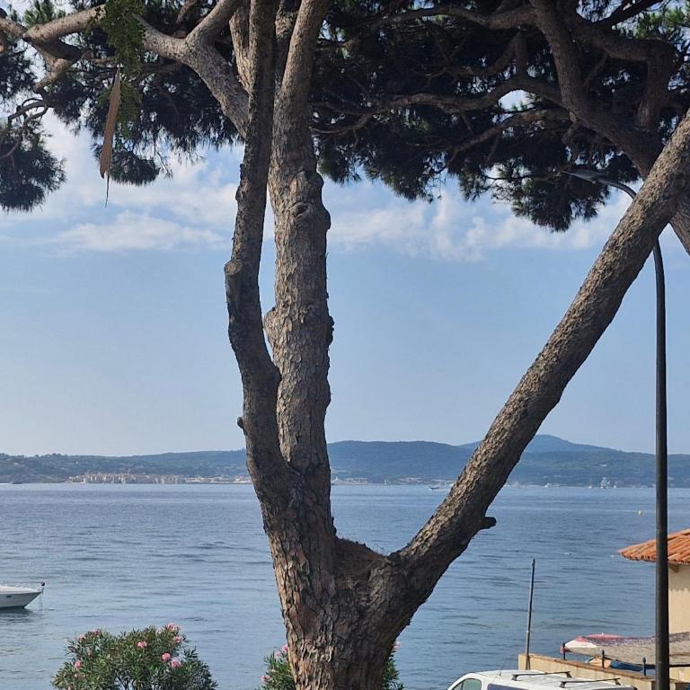 Appartement 2 pièces vue mer avec parking proche Sainte-Maxime - FR-1-780-51 - Apartment - 1