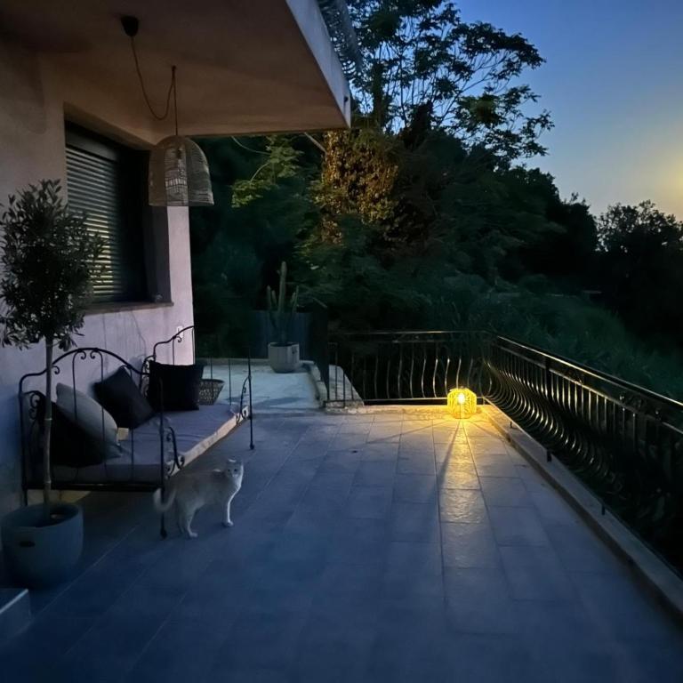 Joli appartement avec vue incroyable - Appartement 1 Chambre - 2
