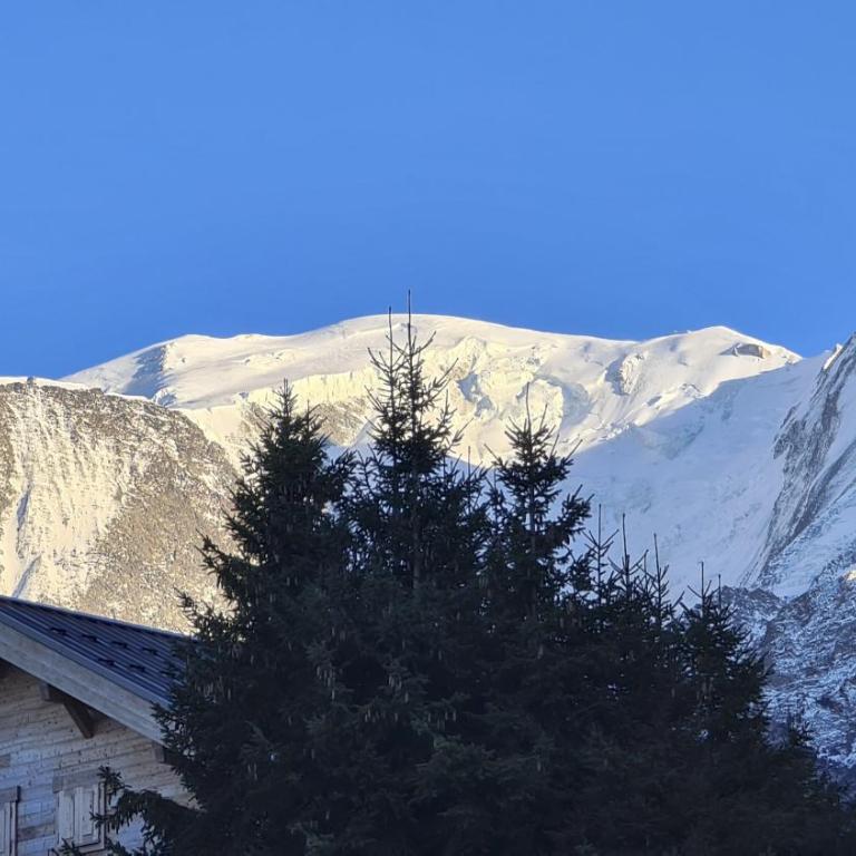 Picherie haut - 15 Pax - Calme - Vue Montagne - Apartment - 20