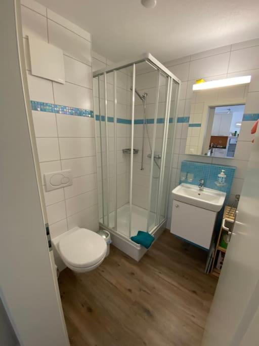 Lauchernaelpli - Apartment mit 1 Schlafzimmer - 21