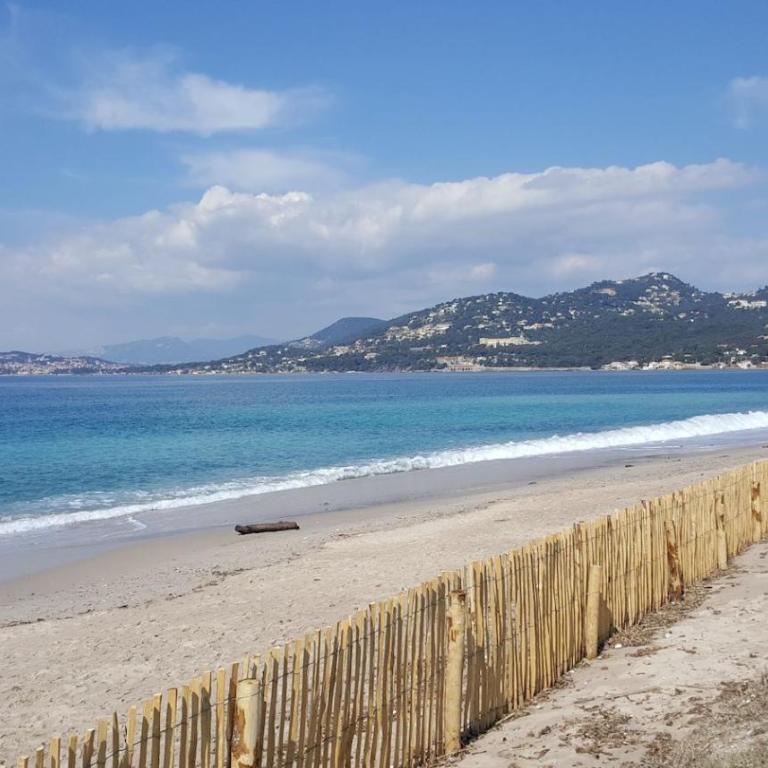 Studio proche port et plages, au calme (impasse) - Appartement 1 Chambre - 16