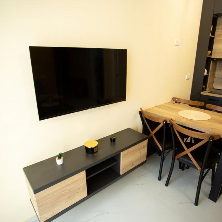 FAMILY APARTMENTs 3 - One-Bedroom Apartment - 9