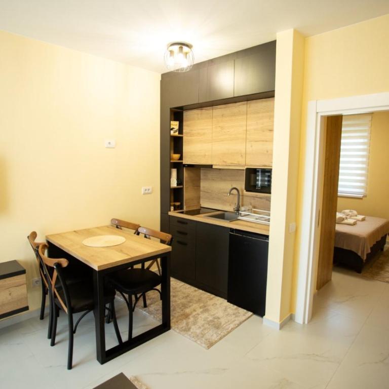 FAMILY APARTMENTs 3 - One-Bedroom Apartment - 15