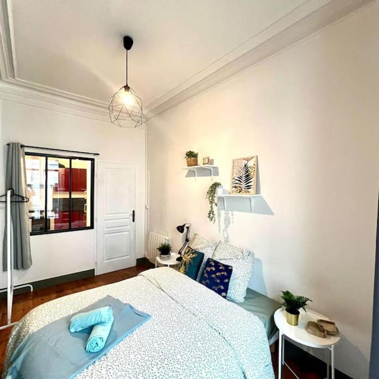 Cosy Magnolia - T3 - Hyper centre & parking souterrain - Appartement 2 Chambres - 12