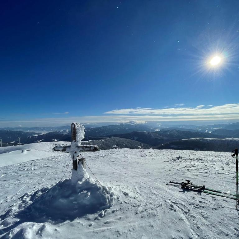 Sonnberg Chalet - Entspannung pur im Luxus Chalet mit Whirlpool-Sauna - Four-Bedroom House - 63
