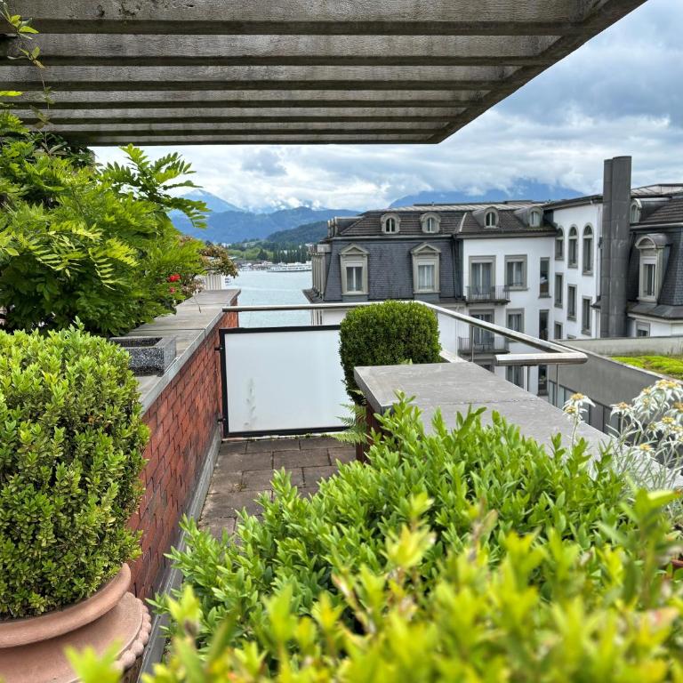 Hotel Luzernerhof - Apartment mit Terrasse - 10