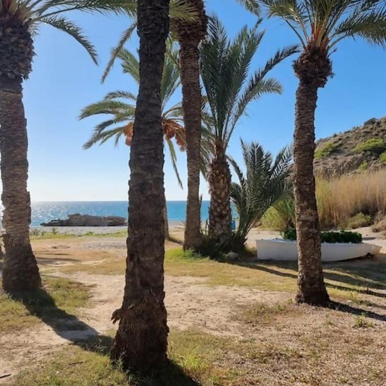 Apartamento luminoso frente al mar con piscina - Two-Bedroom Apartment - 20