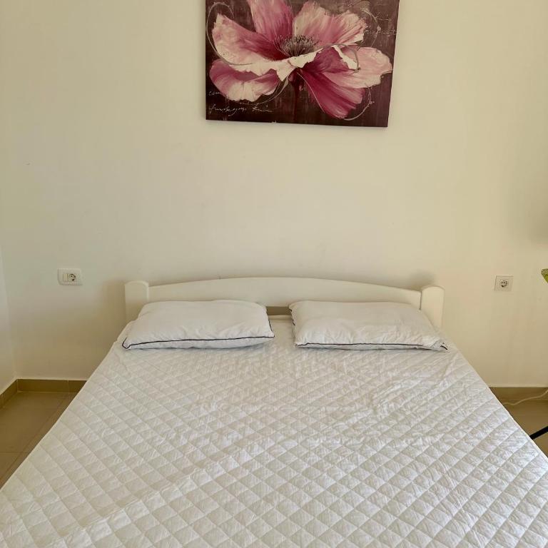 Anubis - Apartman sa 1 Spavaćom Sobom - 8