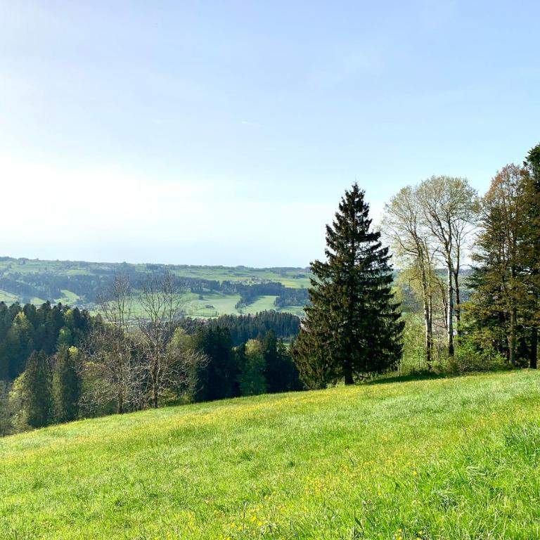 Bergnest Lodge mit Bergblick - Ca 3 min Skilift - Balkon - Garten - 6 Pers - Hund - Luftkurort - nähe Buchenegger Wasserfälle - Eistobel - Bodensee - Apartment mit 1 Schlafzimmer - 36