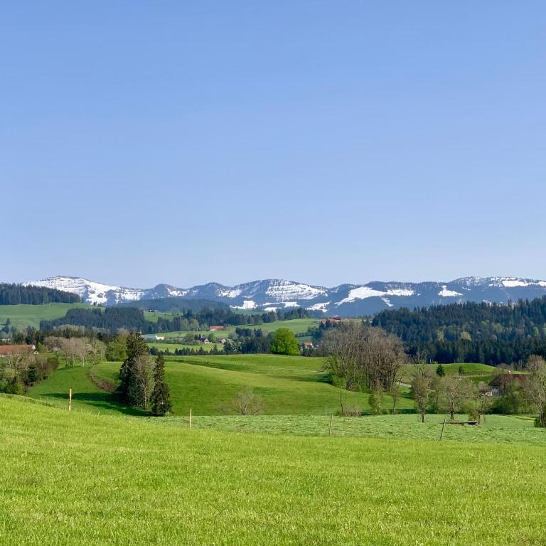 Bergnest Lodge mit Bergblick - Ca 3 min Skilift - Balkon - Garten - 6 Pers - Hund - Luftkurort - nähe Buchenegger Wasserfälle - Eistobel - Bodensee - Apartment mit 1 Schlafzimmer - 38