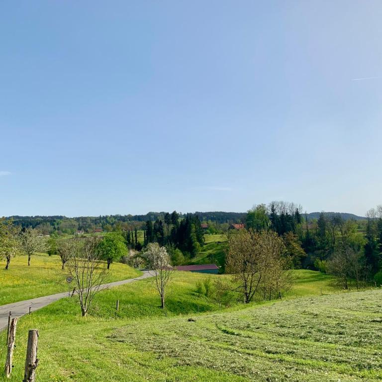 Bergnest Lodge mit Bergblick - Ca 3 min Skilift - Balkon - Garten - 6 Pers - Hund - Luftkurort - nähe Buchenegger Wasserfälle - Eistobel - Bodensee - Apartment mit 1 Schlafzimmer - 37