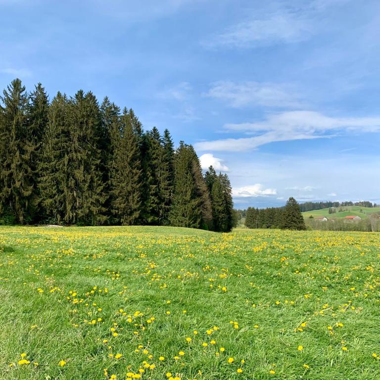 Bergnest Lodge mit Bergblick - Ca 3 min Skilift - Balkon - Garten - 6 Pers - Hund - Luftkurort - nähe Buchenegger Wasserfälle - Eistobel - Bodensee - Apartment mit 1 Schlafzimmer - 35