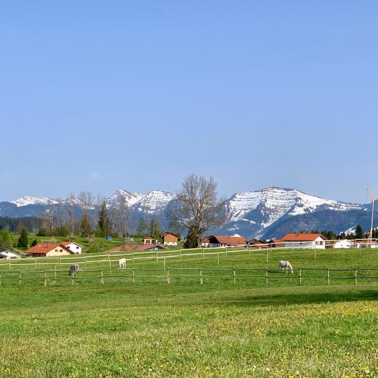 Bergnest Lodge mit Bergblick - Ca 3 min Skilift - Balkon - Garten - 6 Pers - Hund - Luftkurort - nähe Buchenegger Wasserfälle - Eistobel - Bodensee - Apartment mit 1 Schlafzimmer - 19